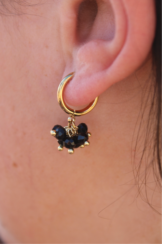 Pendientes Nogal Negro